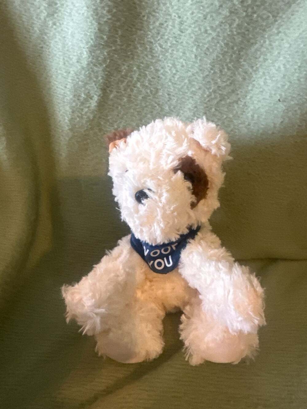 Dog - Picture 2 of 3